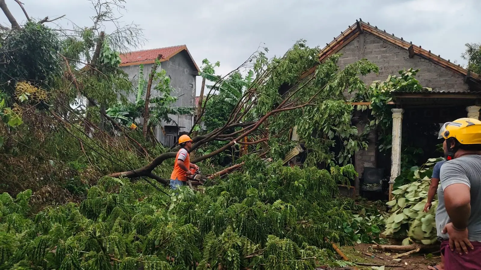 Perkembangan Situasi dan Penanganan Bencana Tanggal 9 Februari